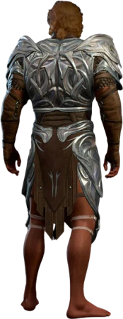 Githyanki Half Plate Leather High Elf Back