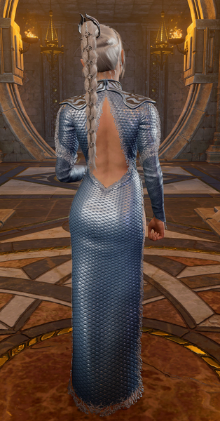 Back View