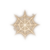 Enwebbed Condition Icon.png
