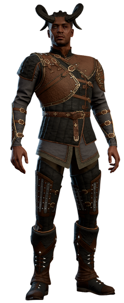 File:Wyll Frontiers Epilogue Model.png