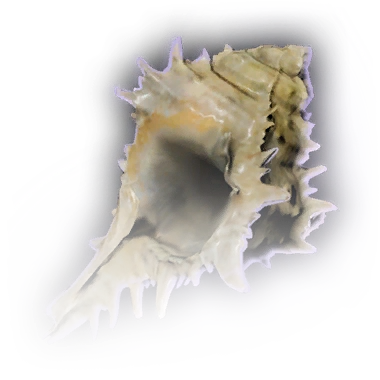 File:Clutter Conch C Faded.webp