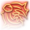 Enraged Throw Icon 64px.png