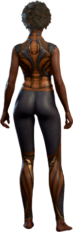 File:Lionheart Outfit Human Body1 Back Model.webp