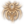 Venomous Bite (Phase Spider)