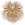 Venomous Bite (Phase Spider)