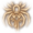 Venomous Bite Spider Icon.png