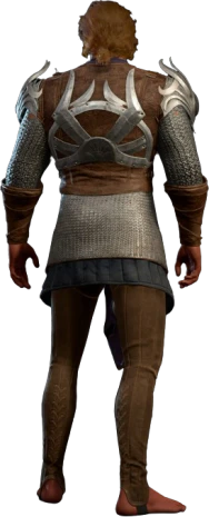 Chain Shirt Shadowheart Half-Elf Back