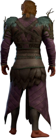 Druid Leather Armour Purple Half-Elf Back