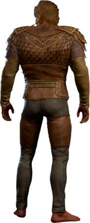Leather Armour +2 High Elf Back