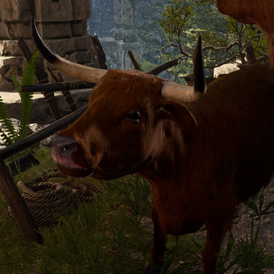 Carte Strange Ox