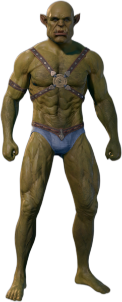 Half-Orc Male Front