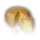 Waterdhavian Cheese Wheel Icons.png