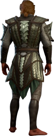 Yuan-Ti Scale Mail High Elf Back