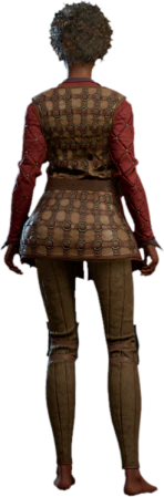 Ring Mail Armour Human Back