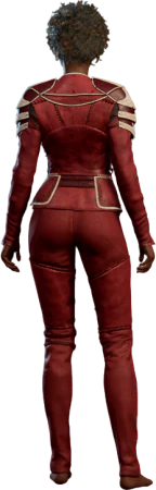 Scarlet Leather Armour Human Back