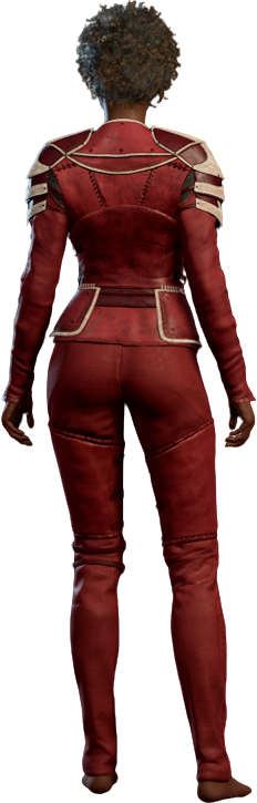 Scarlet Leather Armour Human Back Model.webp