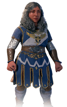 Paladin's default armour