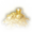 Gold Pile Medium Icon.png