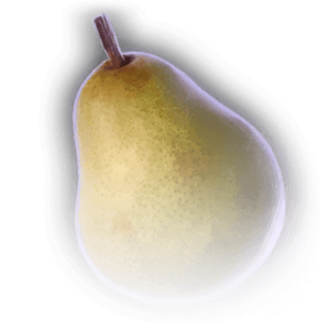 Pear image