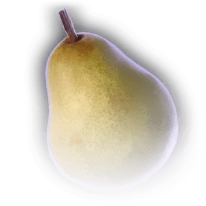 Succulent Pear image