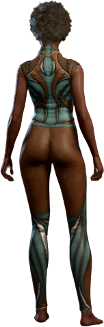 Lionheart Teal Outfit Human Back