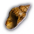 File:Clutter Conch A Unfaded.webp
