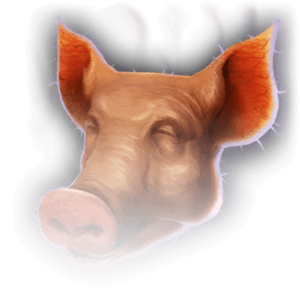 Pig's Head image