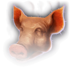 Pig's Head image