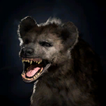 Portrait Hyena (dark).png