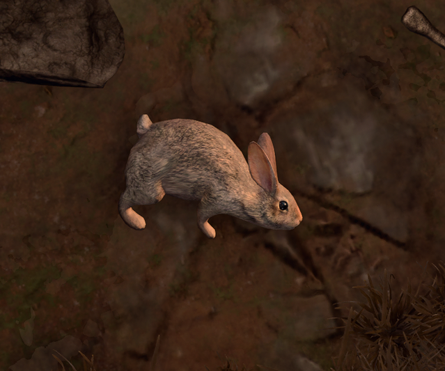 Rabbit - bg3.wiki