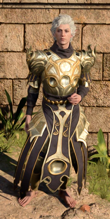 Dark Justiciar Mail worn by Astarion