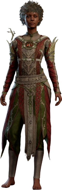 Druid Leather Armour Red Human Front Model.webp