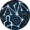 Starry Form Dragon Condition Icon.webp
